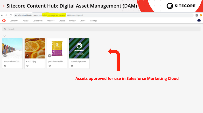Sitecore Salesforce Marketing Cloud app.