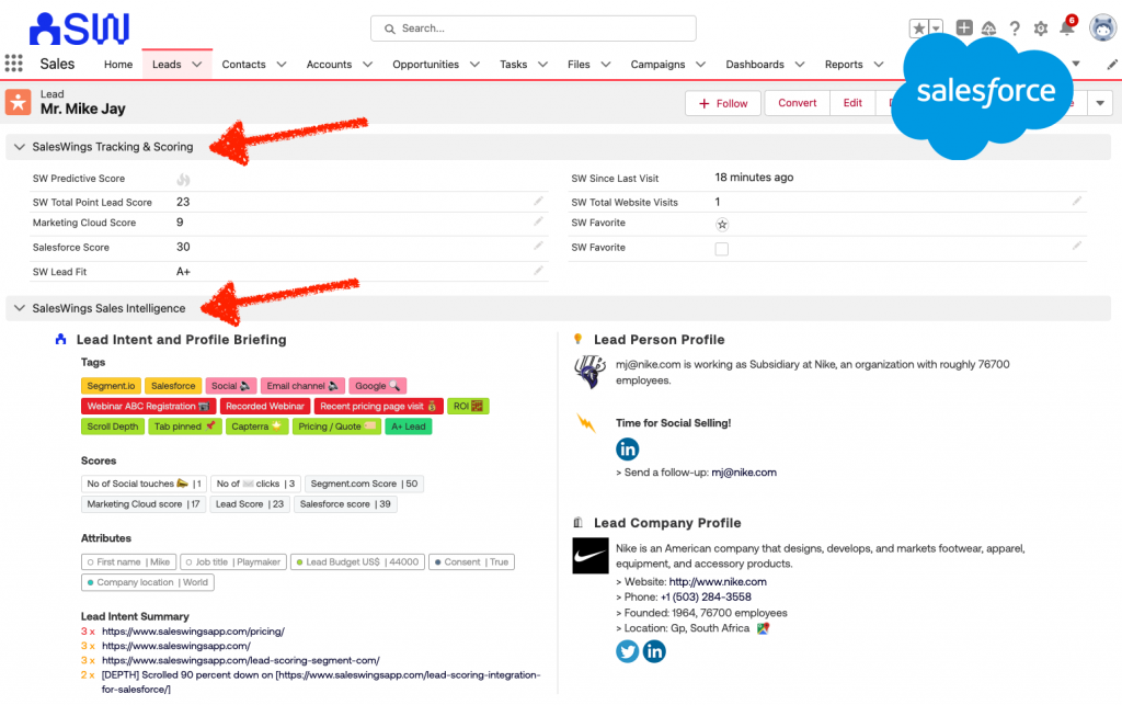 Sales insights lead profile